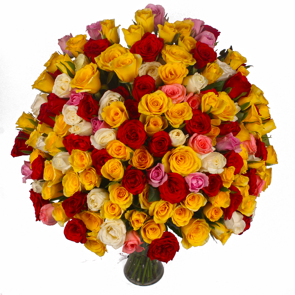 Multi Color 100 Roses Arranged in a Vase