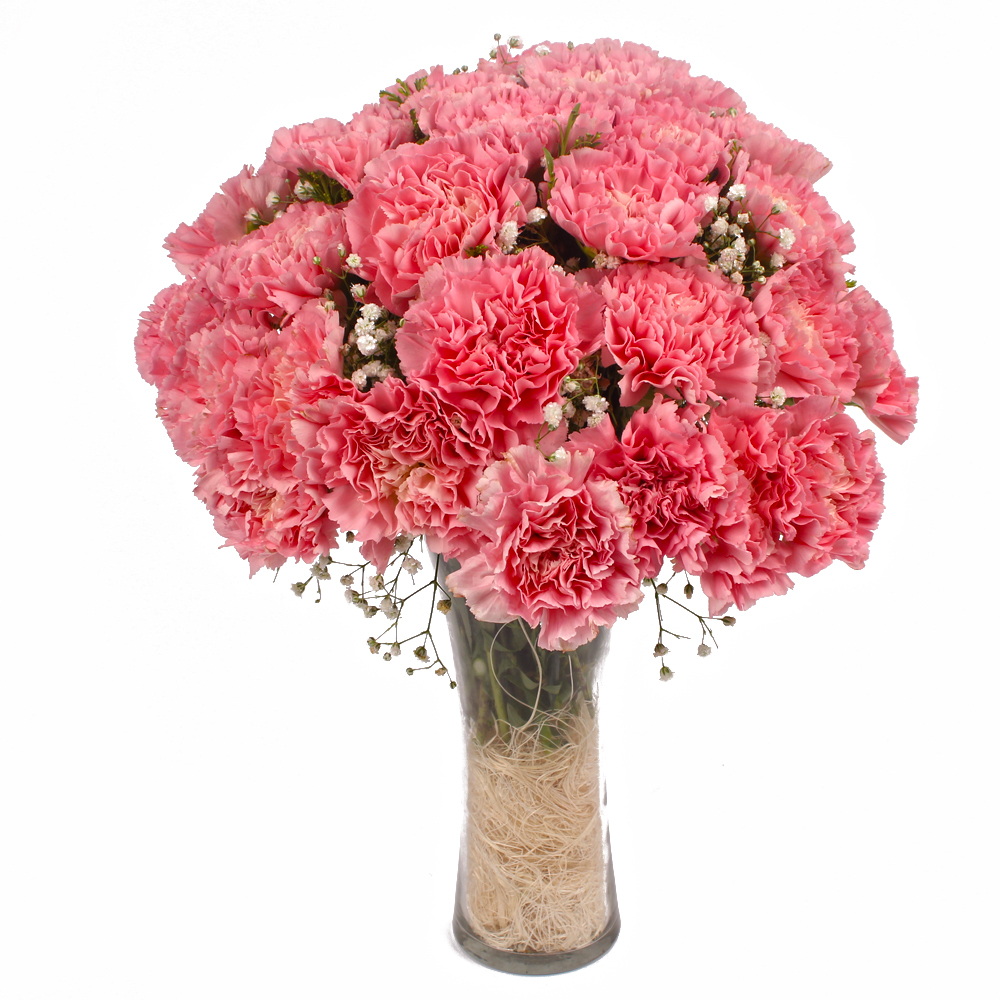 Twenty Pink Carnations in Glass Vase