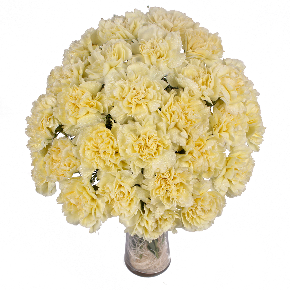 Glass Vase Containing 25 Yellow Carnations