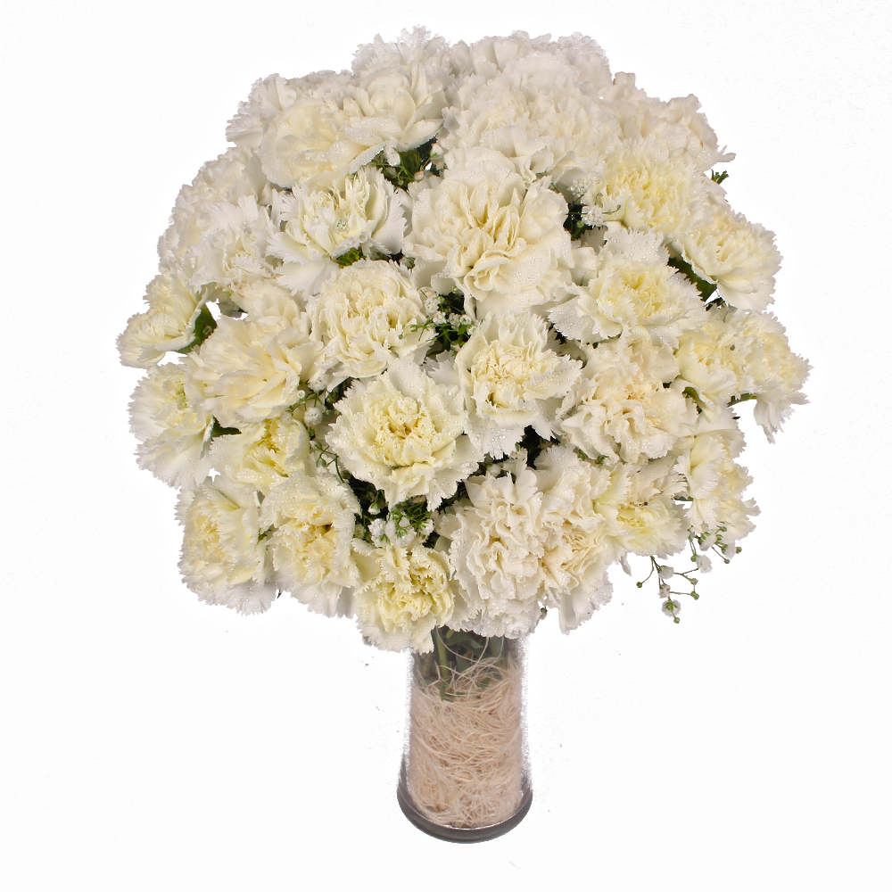 Glass Vase Containing 25 White Color Carnations