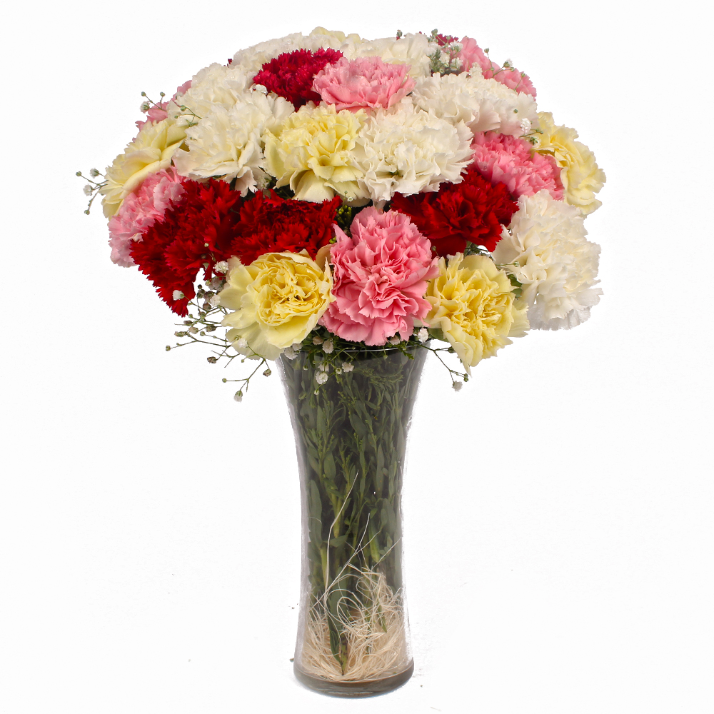 Twenty Colorful Carnations in Glass Vase