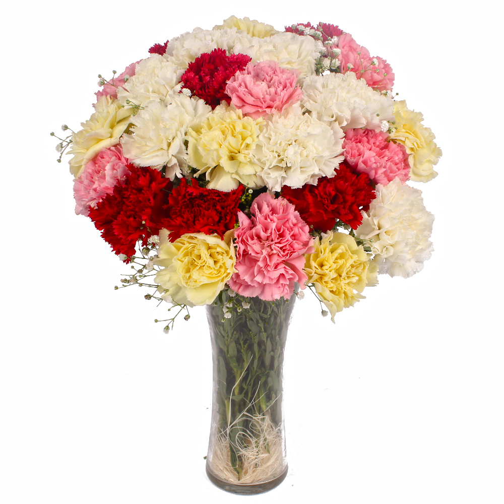 Twenty Colorful Carnations in Glass Vase