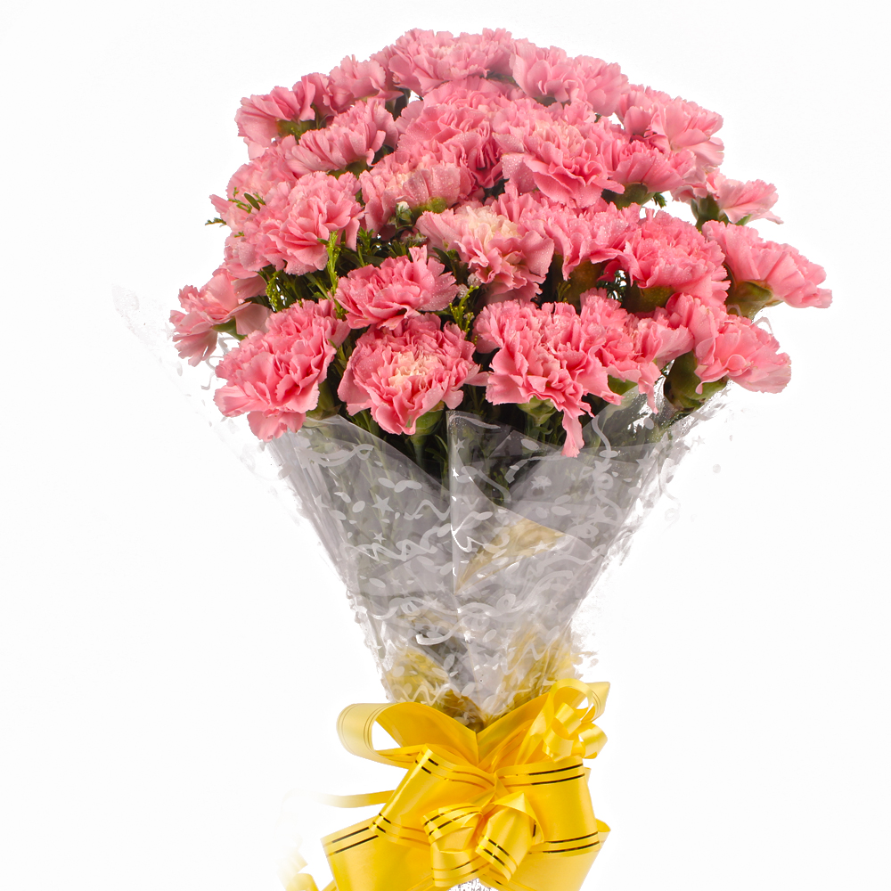 Hand Bunch of 24 Pink Carnations