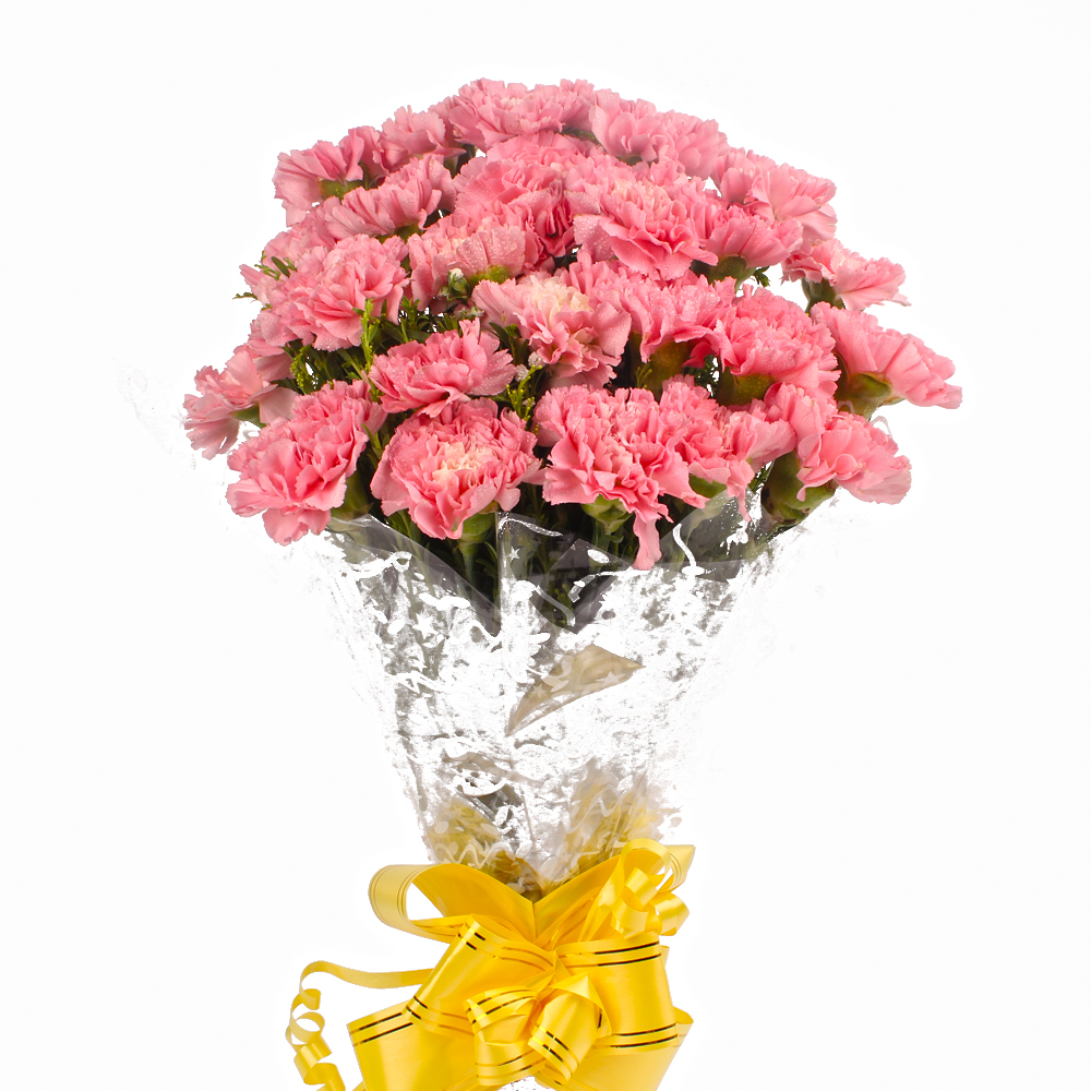 Hand Bunch of 24 Pink Carnations