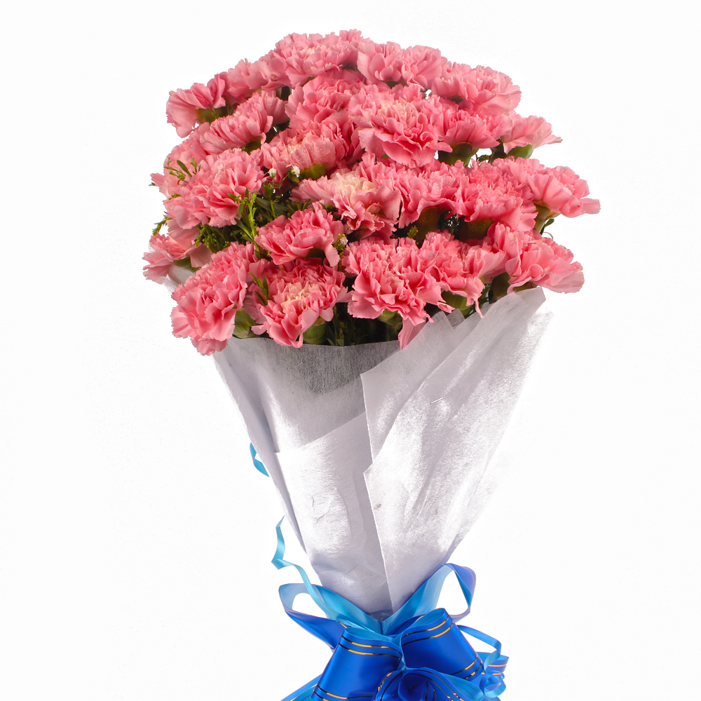 Twenty Four Soft Pink Carnations Tissue Wrapped