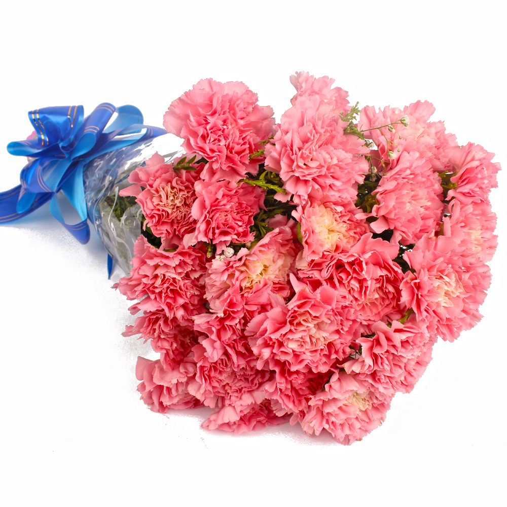 Bunch of 20 Pink Carnations with Cellophane Packing