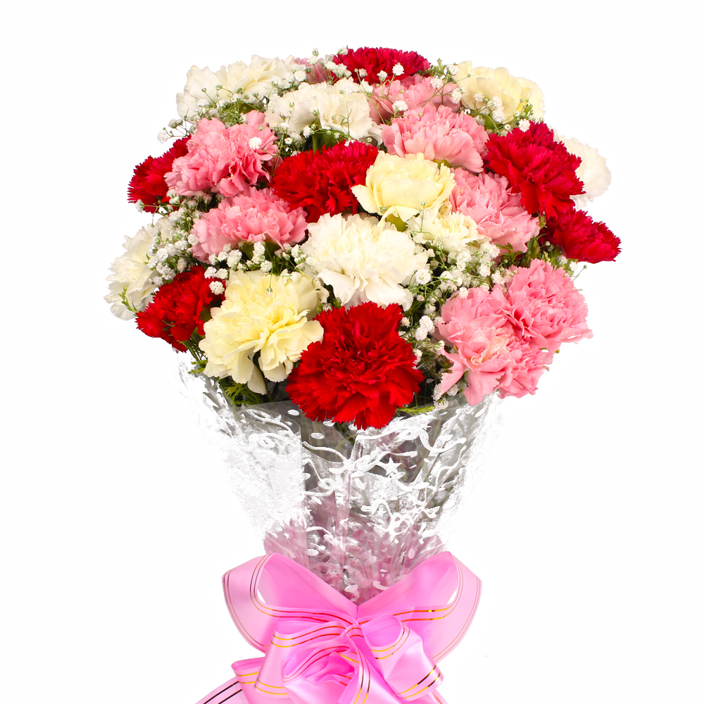 Eighteen Multi Color Carnations Bouquet