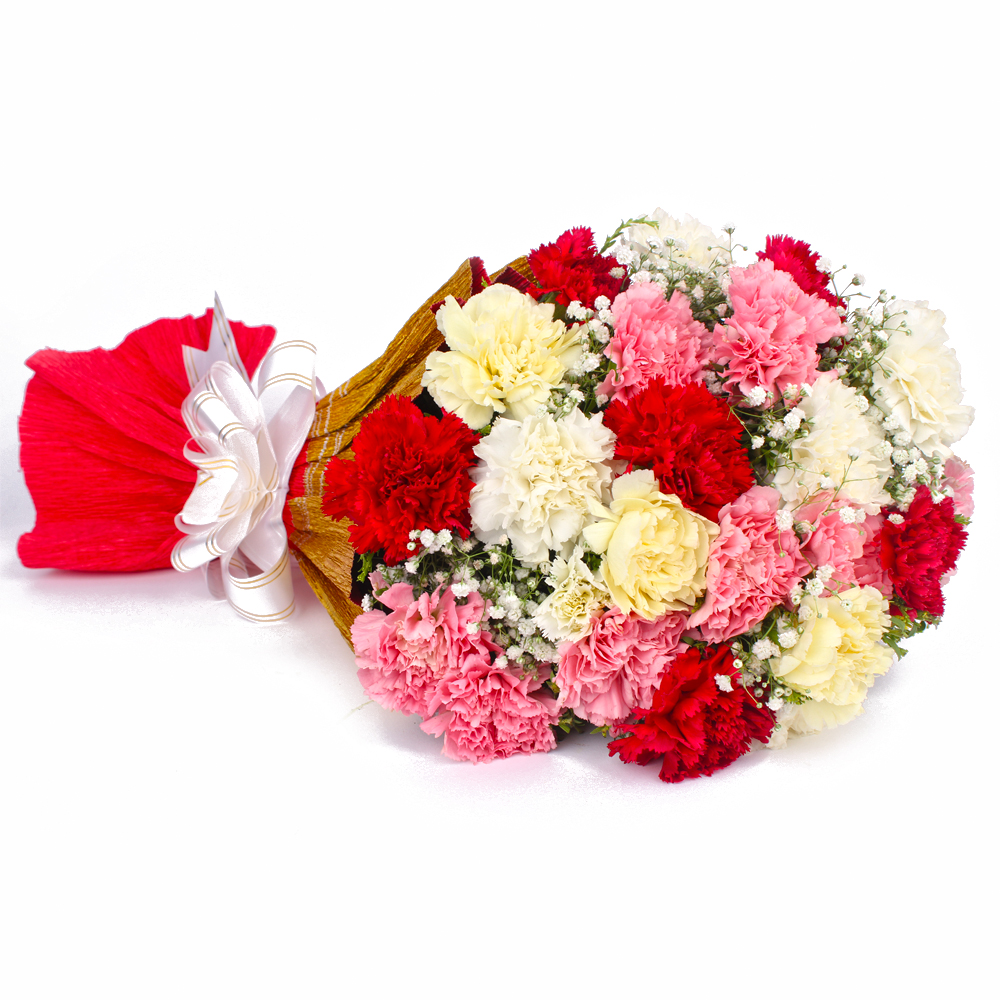 Twenty Two Multi Color Carnations Tissue Packing