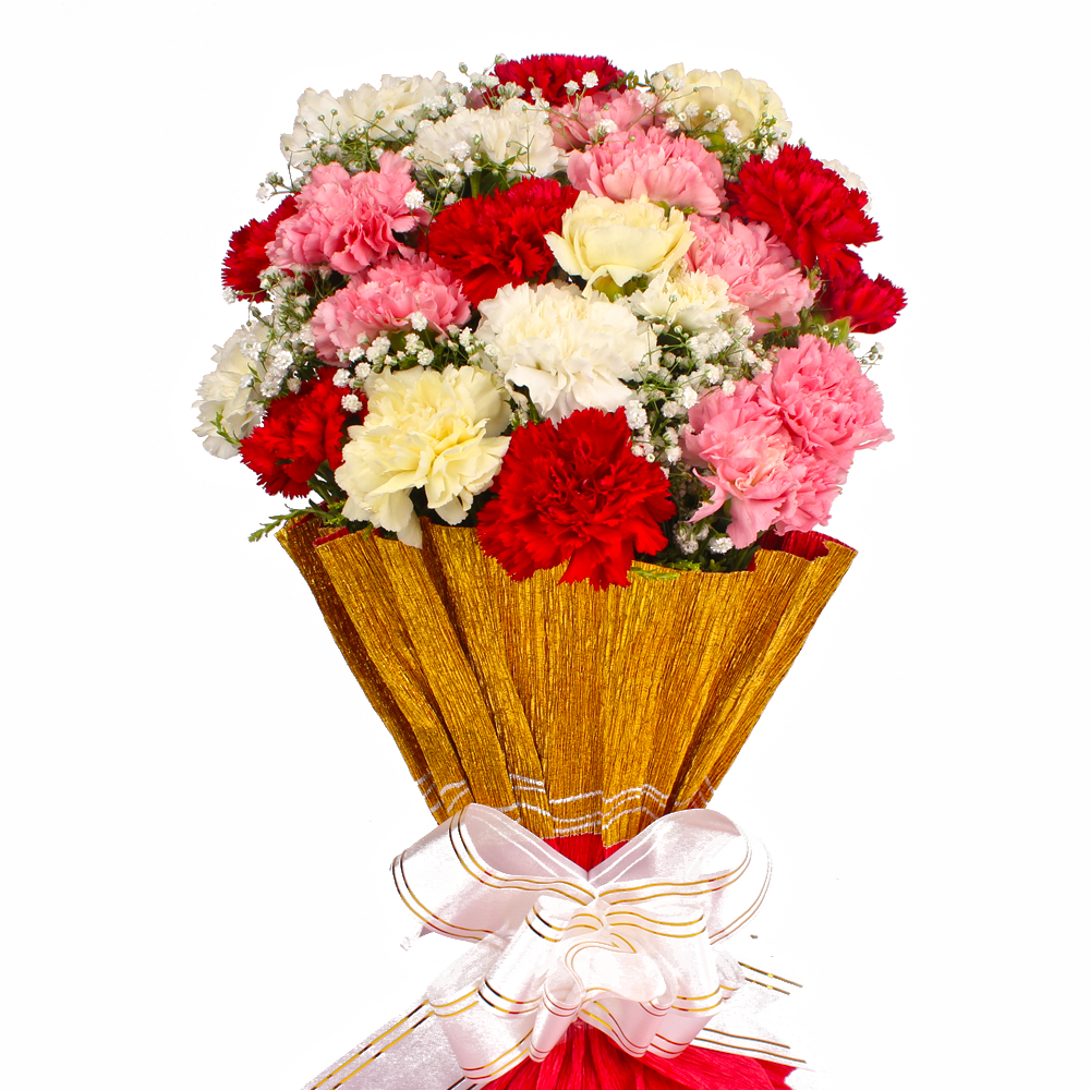 Twenty Two Multi Color Carnations Tissue Packing
