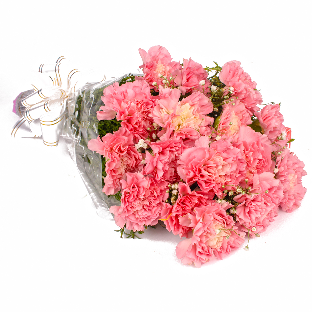 Sixteen Pink Carnations Hand Tied Bunch