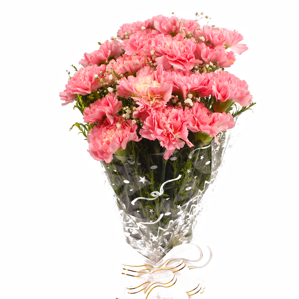 Sixteen Pink Carnations Hand Tied Bunch