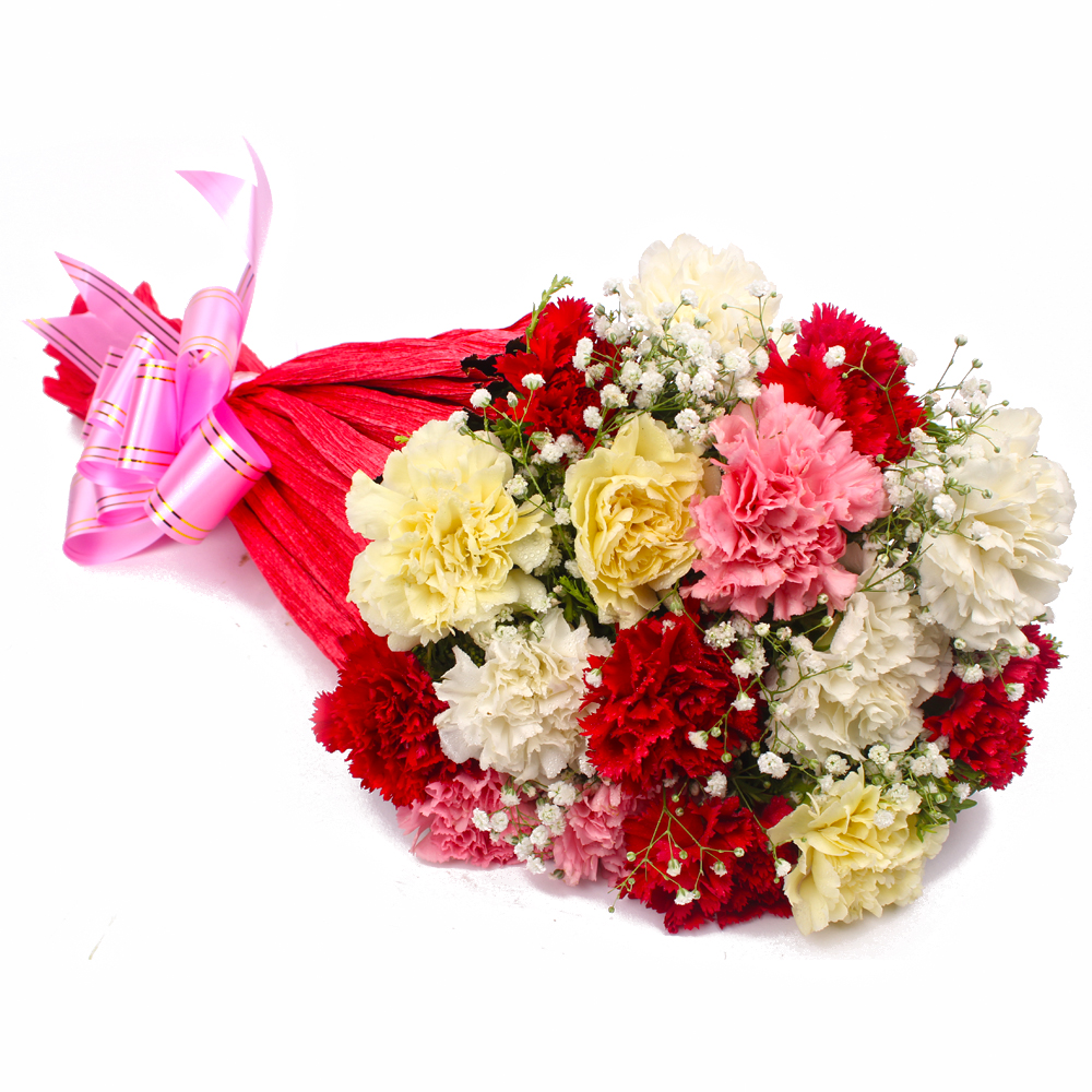 Sixteen Multi Color Carnations Tissue Wrapped