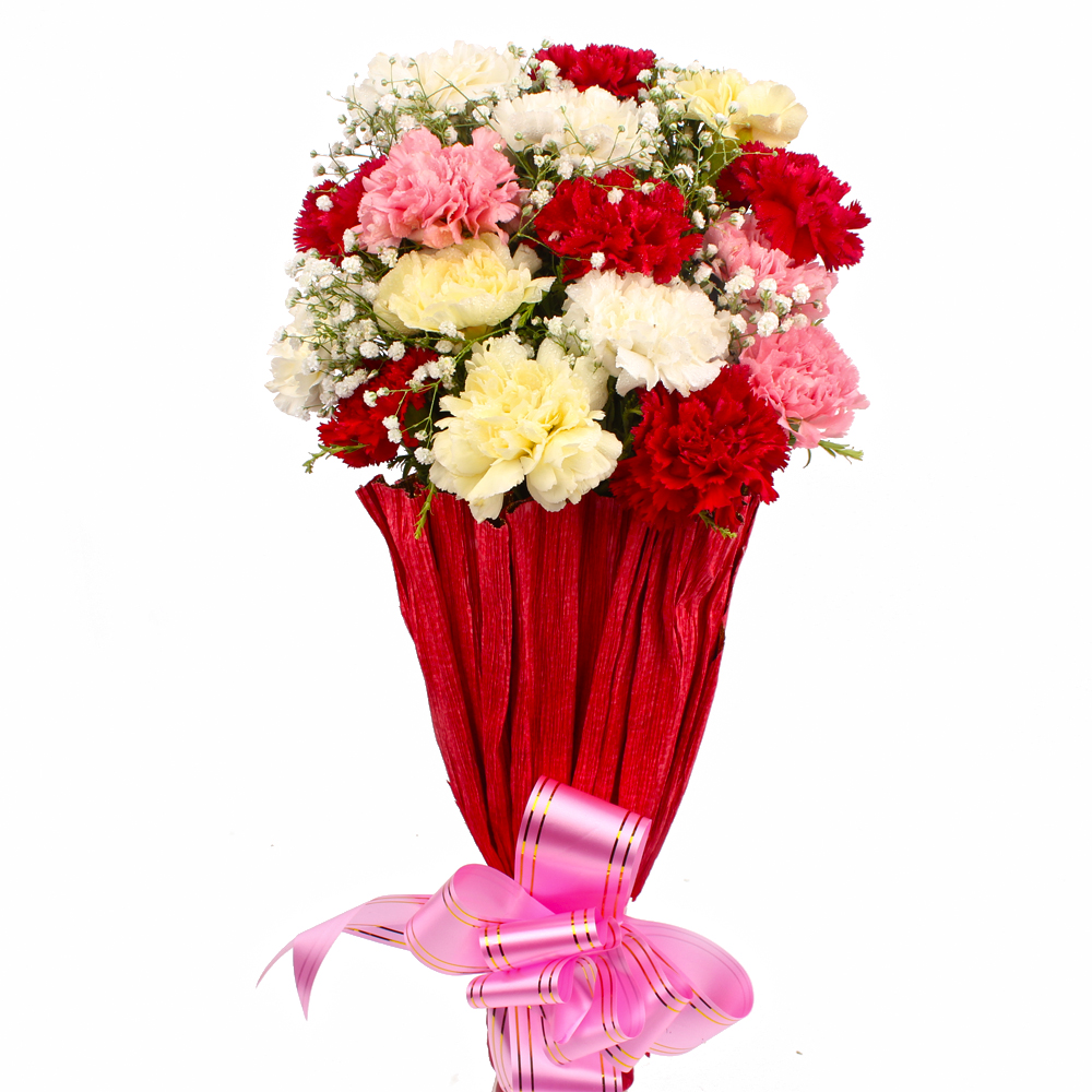 Sixteen Multi Color Carnations Tissue Wrapped
