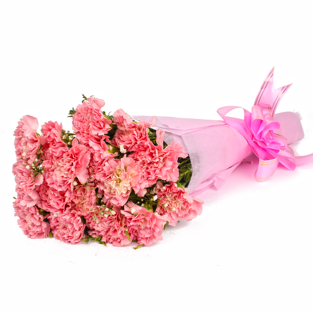 Fifteen Baby Pink Carnations Tissue Packed