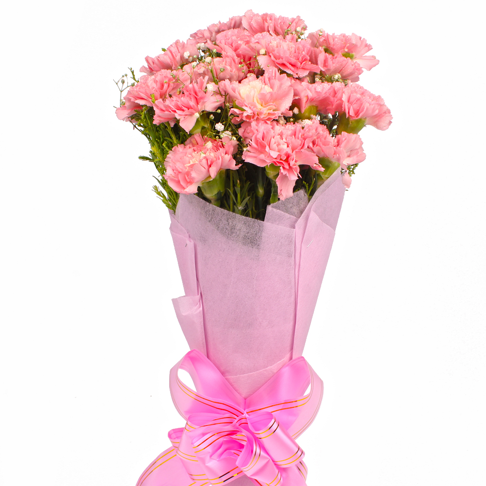 Fifteen Baby Pink Carnations Tissue Packed