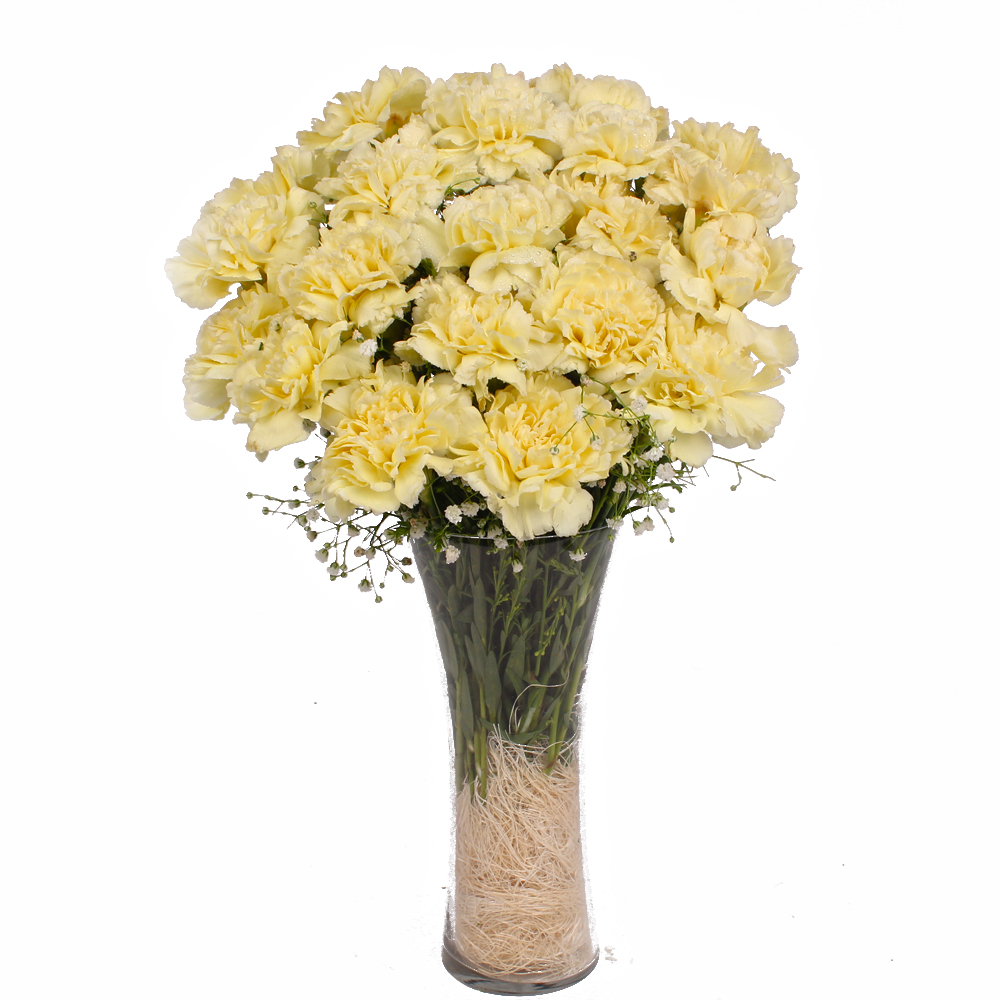 Glass Vase of 16 Yellow Carnations