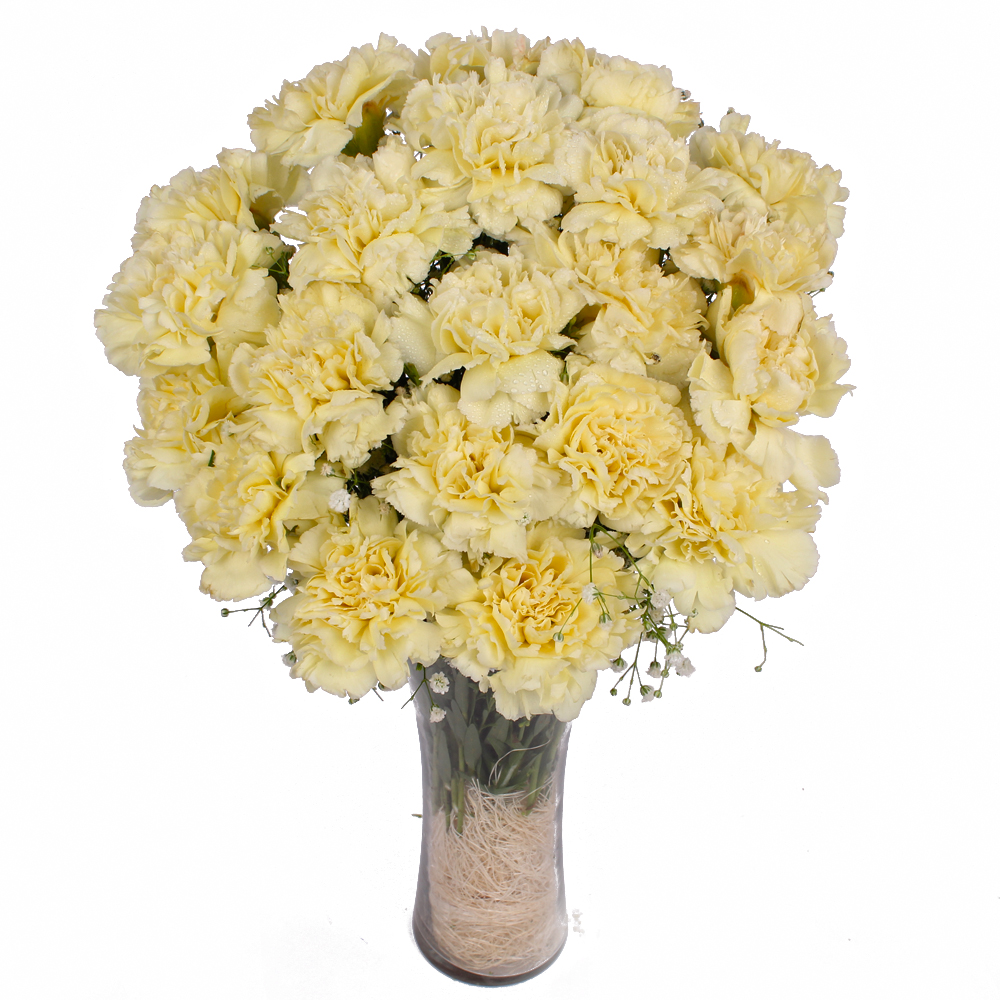 Glass Vase of 16 Yellow Carnations