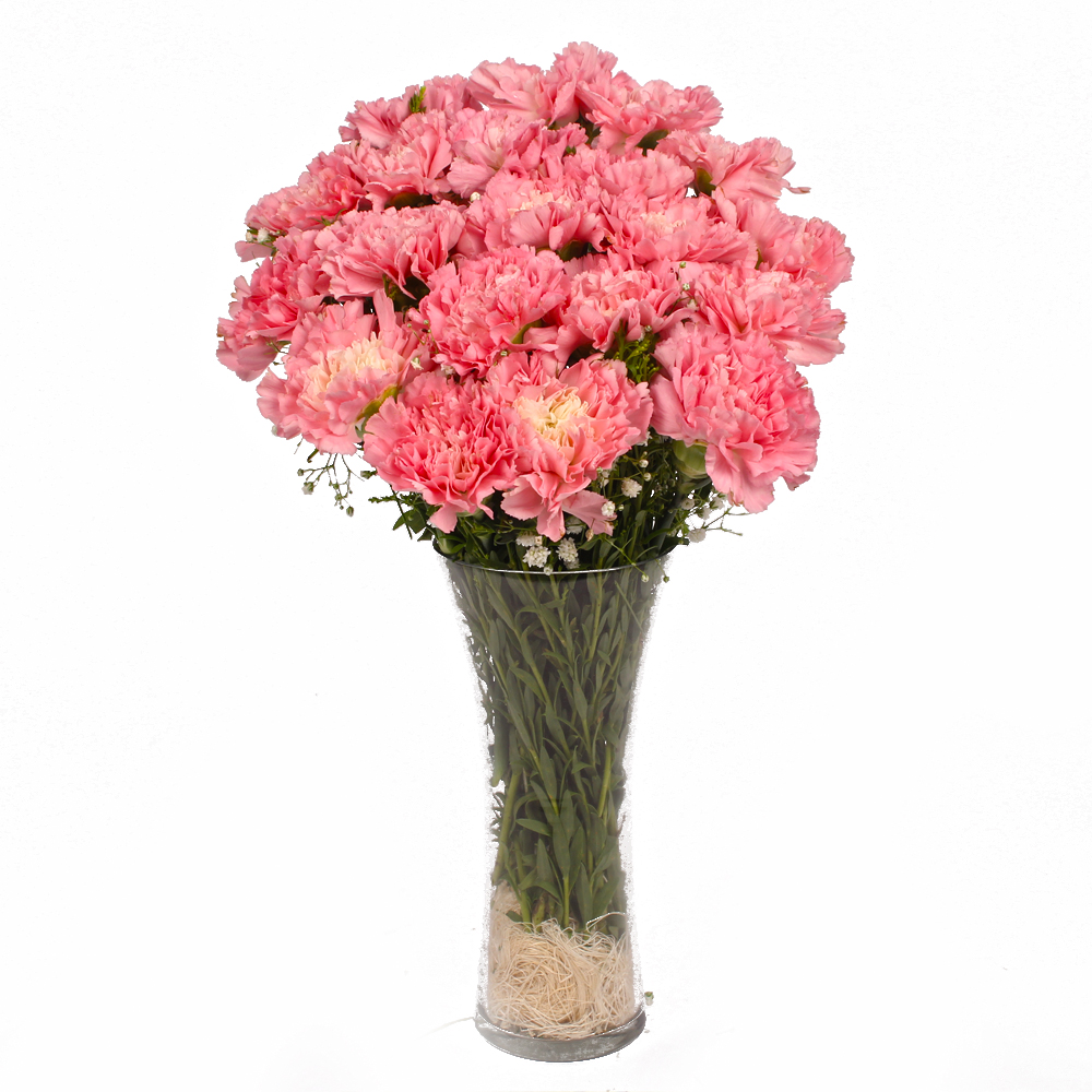 Eighteen Pink Carnations in Glass Vase