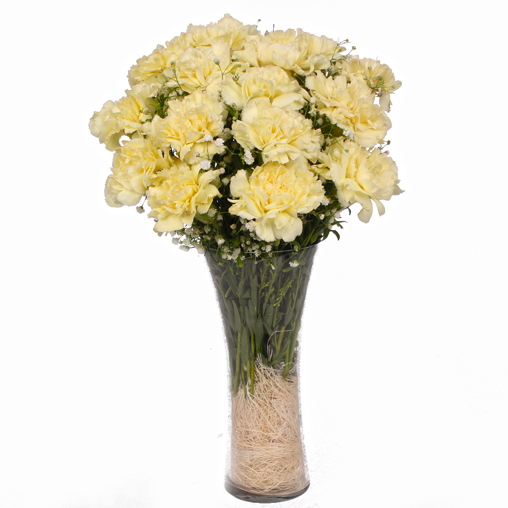 Fifteen Yellow Carnations in Glass Vase