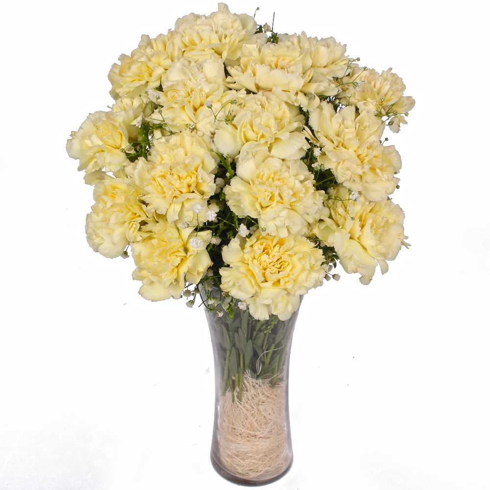 Fifteen Yellow Carnations in Glass Vase