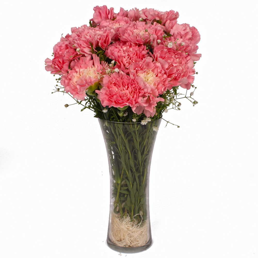Fifteen Pink Carnations in Glass Vase