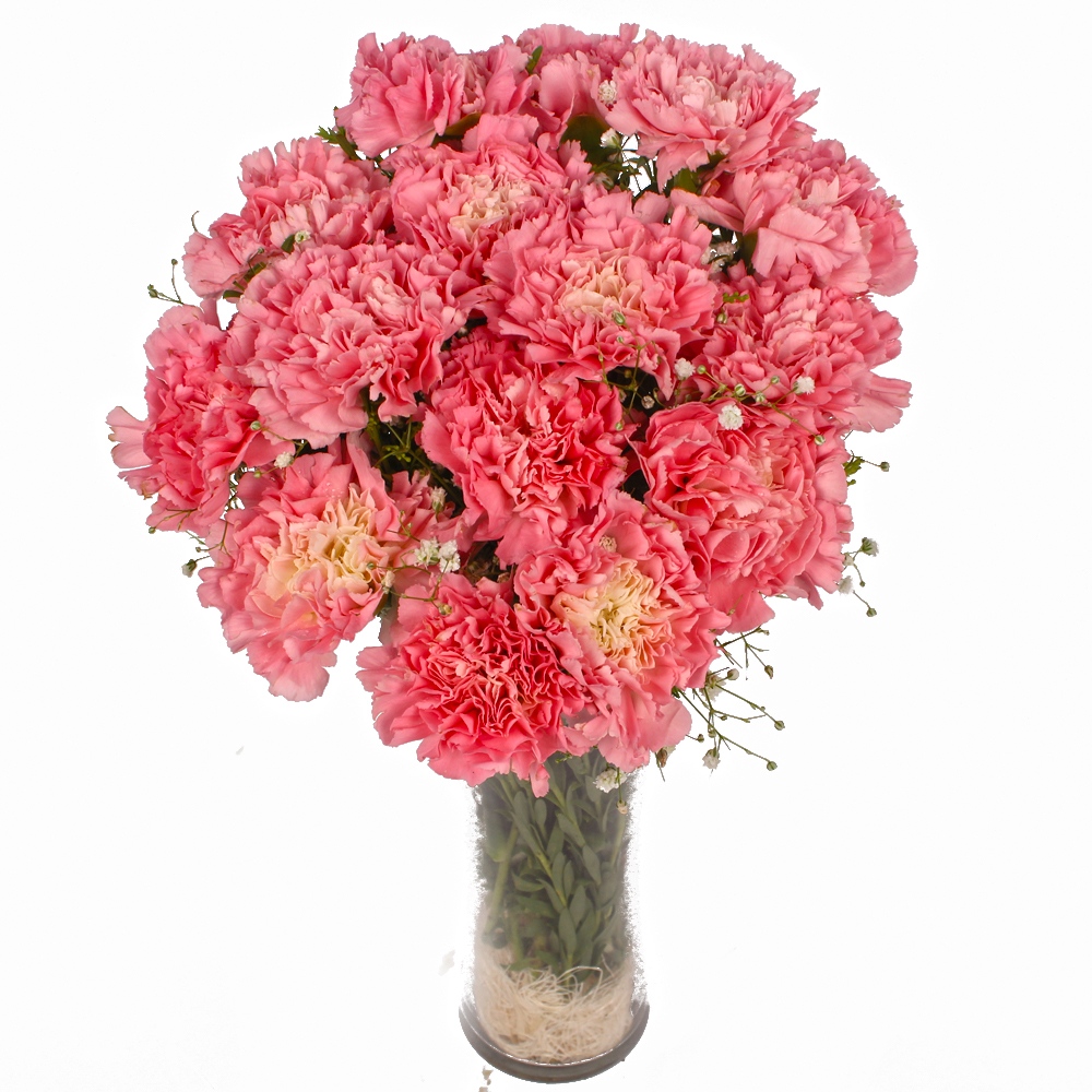 Fifteen Pink Carnations in Glass Vase