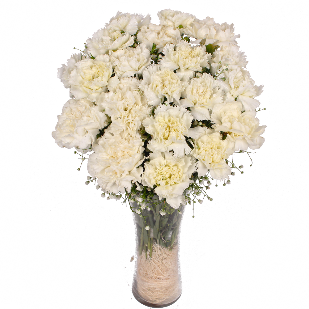 Fifteen Stems of White Carnations in a Vase