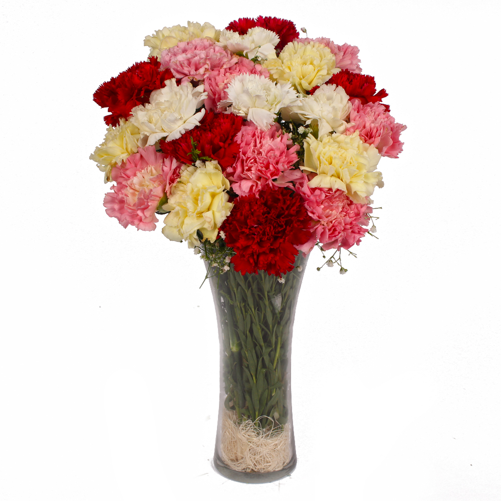 Colorful 21 Carnations in Glass Vase