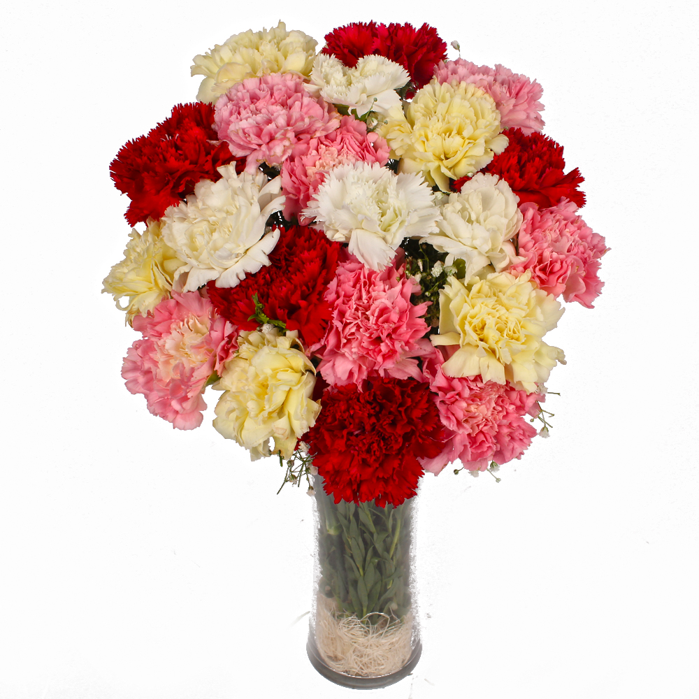 Colorful 21 Carnations in Glass Vase