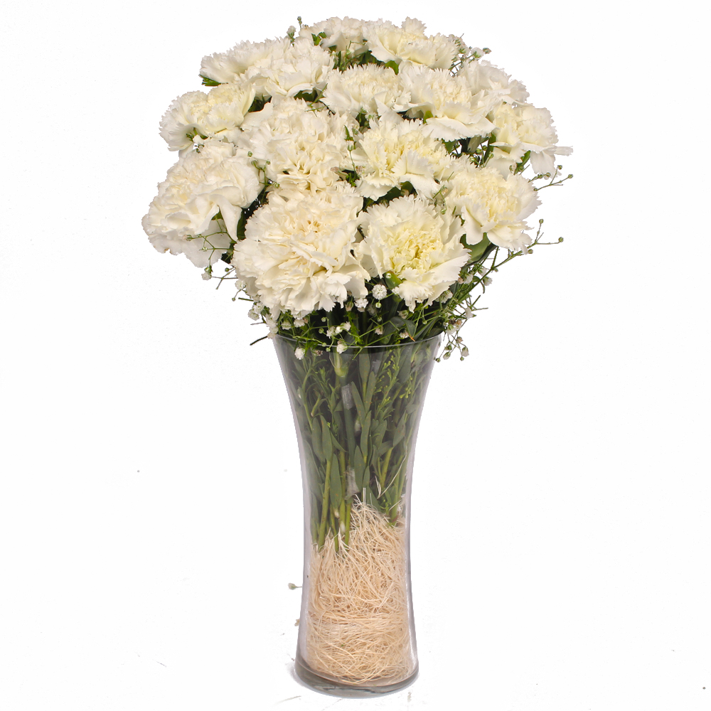 Fifteen White Carnation in Classical Vase