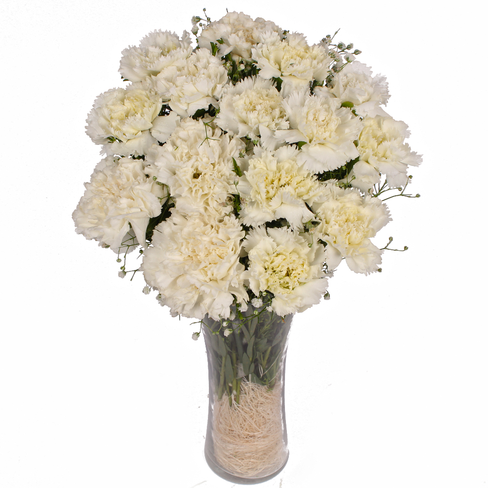 Fifteen White Carnation in Classical Vase