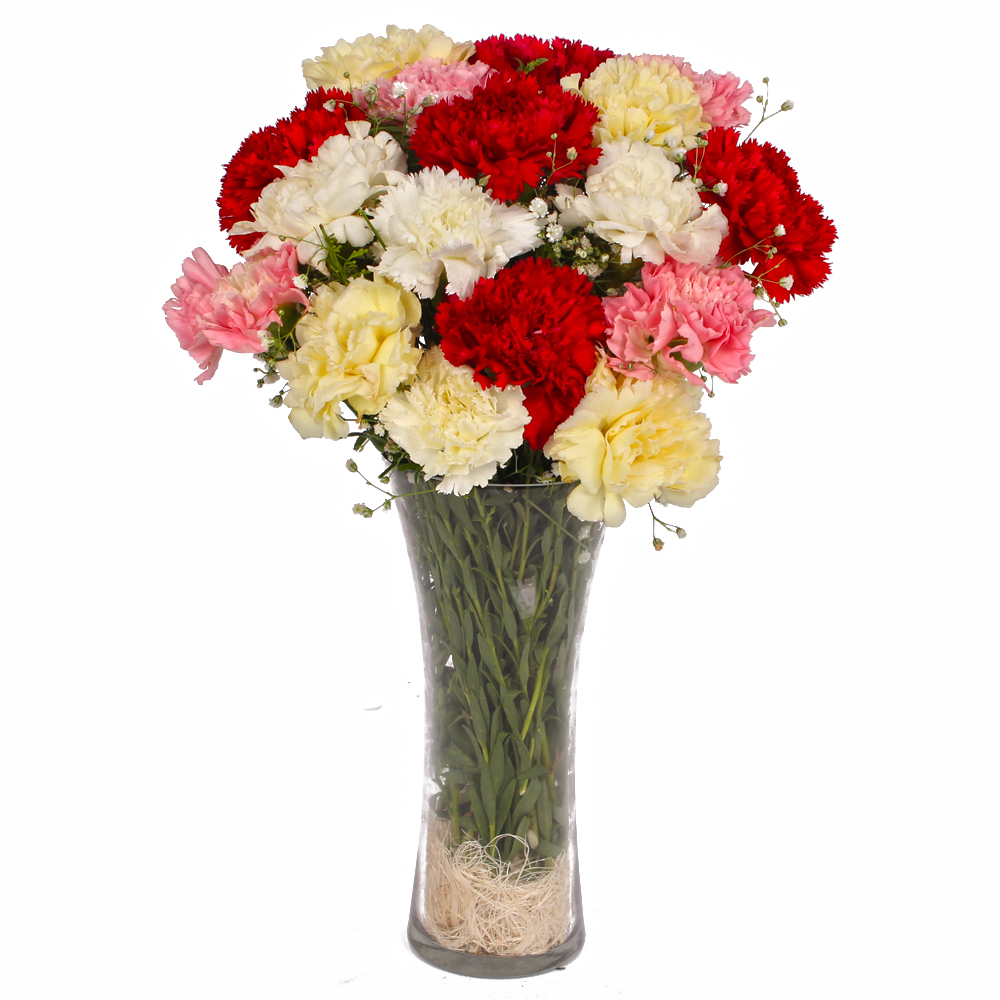 Seventeen Mix Color Carnations Arranged in Vase