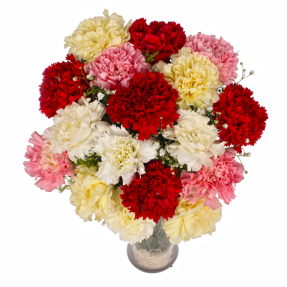 Seventeen Mix Color Carnations Arranged in Vase