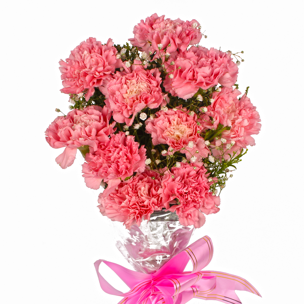 Ten Soft Pink Carnations Cellephane Wrapped