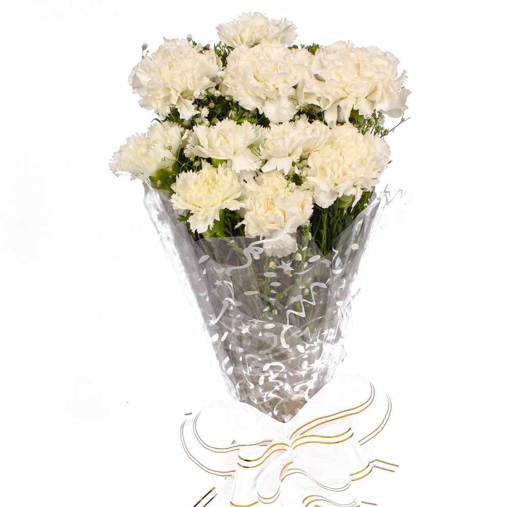 Snowiest White Ten Carnations Bouquet