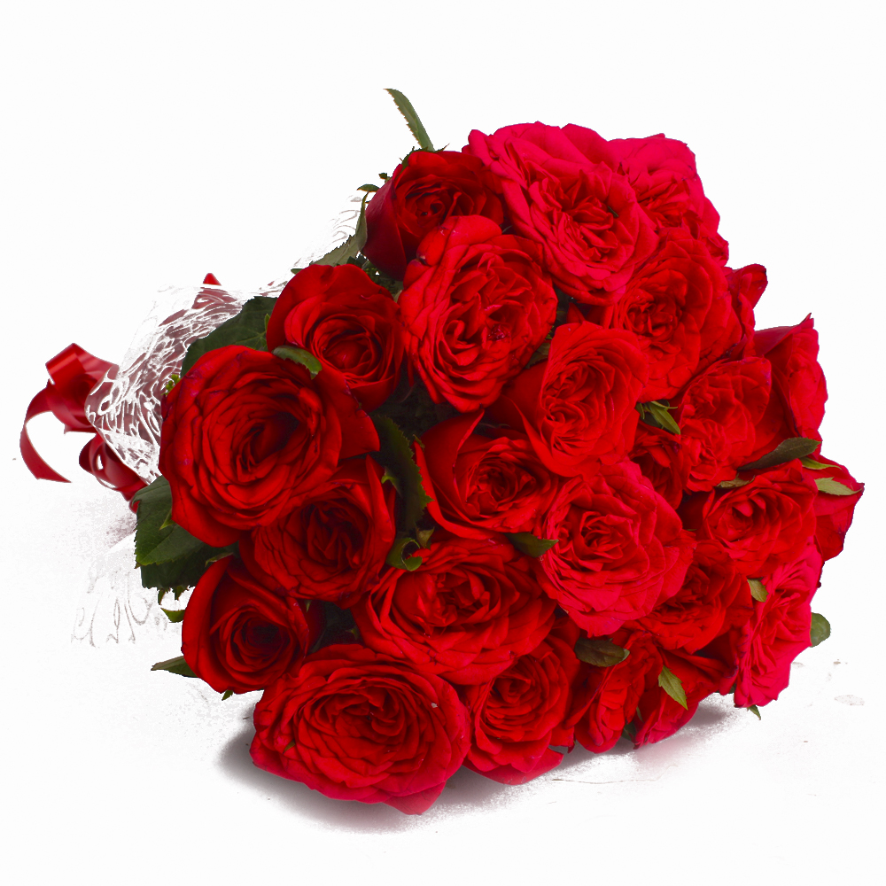 Twenty Four Red Roses in Cellephane Wrapped