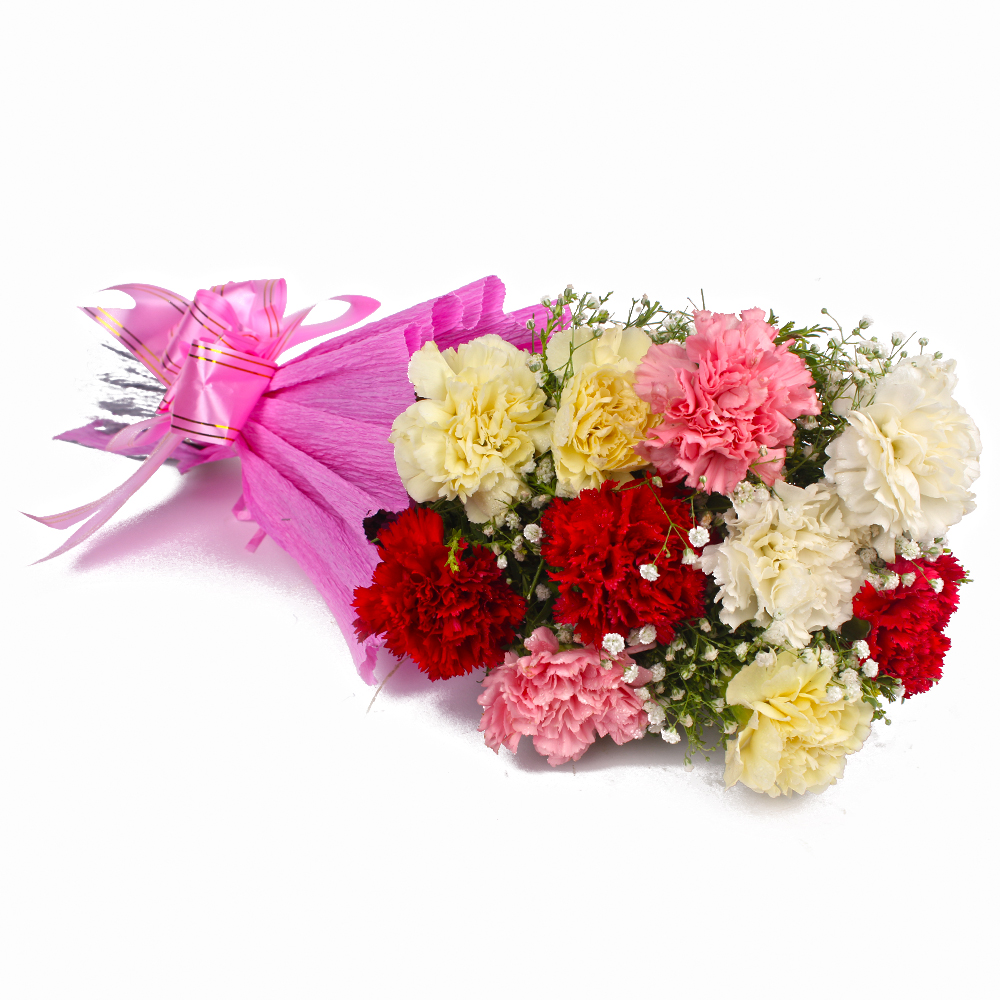 Bunch of 10 Mix Carnations in Tissue Wrapped