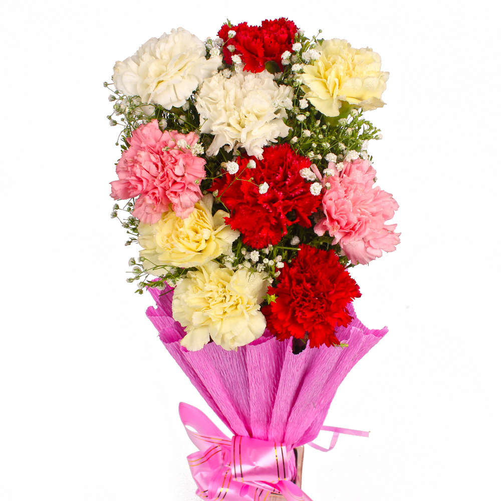 Bunch of 10 Mix Carnations in Tissue Wrapped