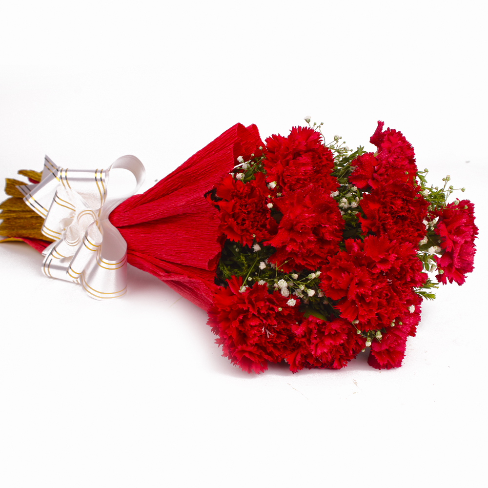 Bunch of 10 Stems Red Color Carnations in Tissue Wrapped