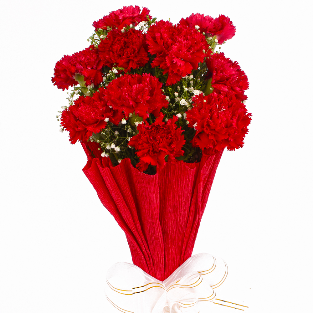 Bunch of 10 Stems Red Color Carnations in Tissue Wrapped