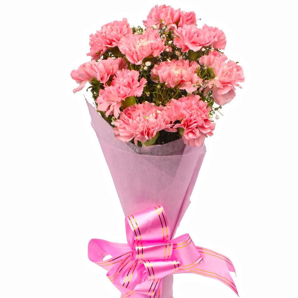 Bunch of 10 Pink Carnations in Tissue Wrapped