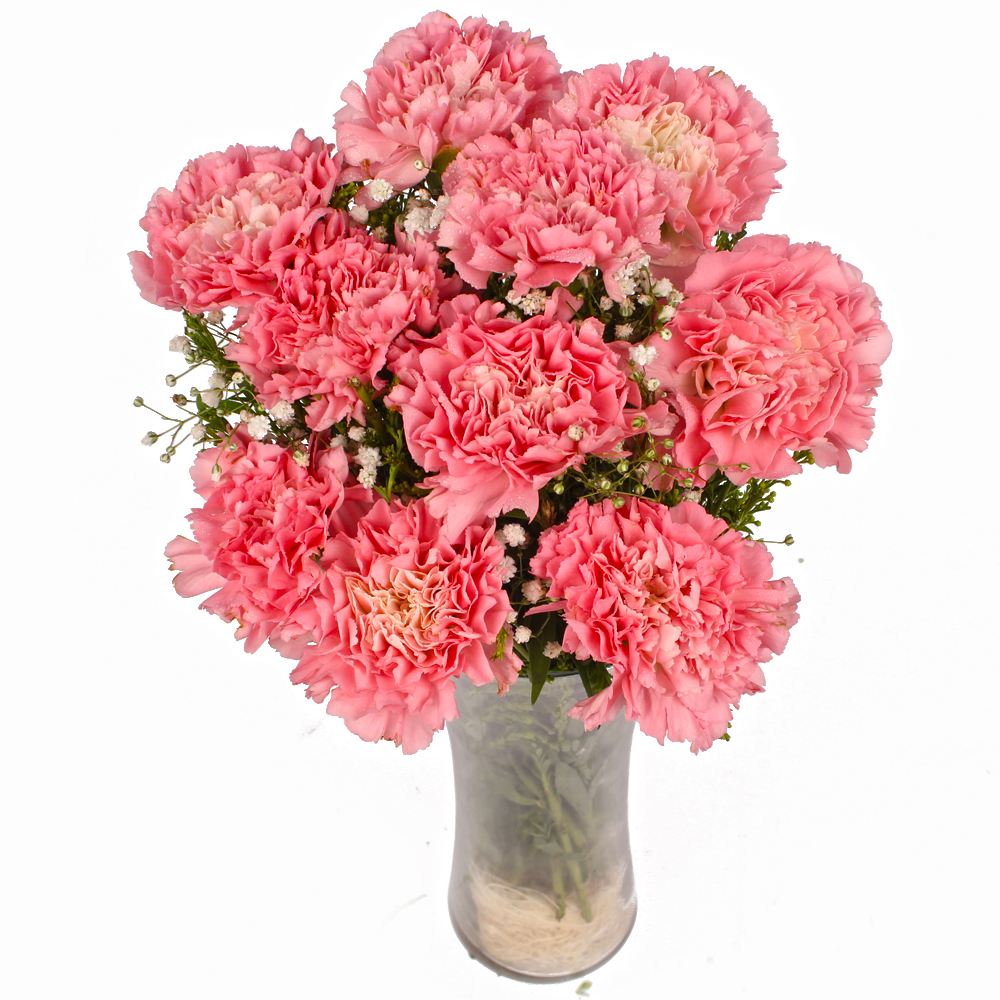 Glass Vase of Ten Baby Pink Carnations