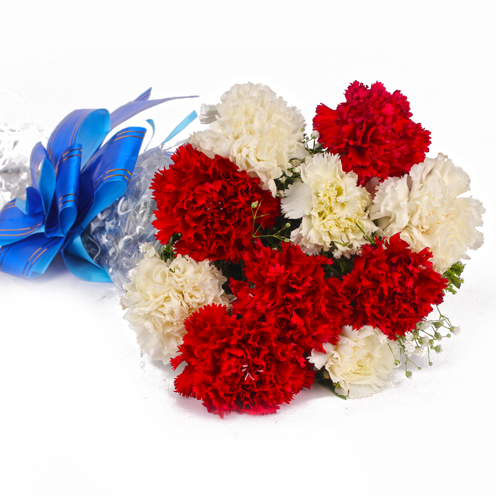 Fresh Red and White Carnations Bouquet