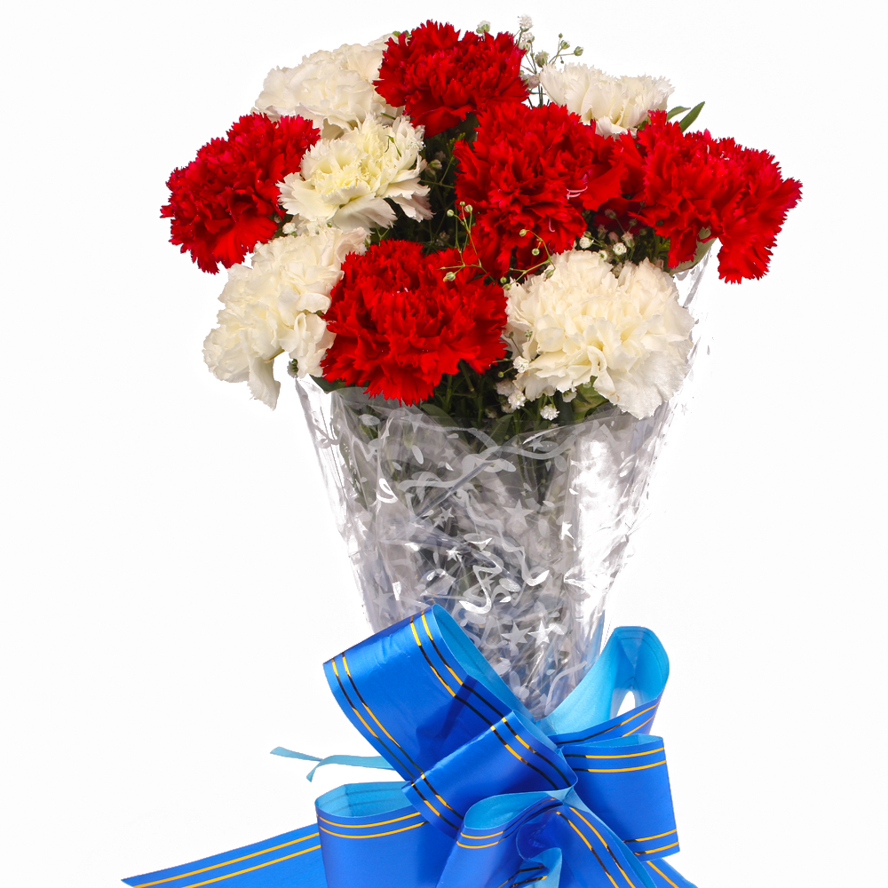 Fresh Red and White Carnations Bouquet