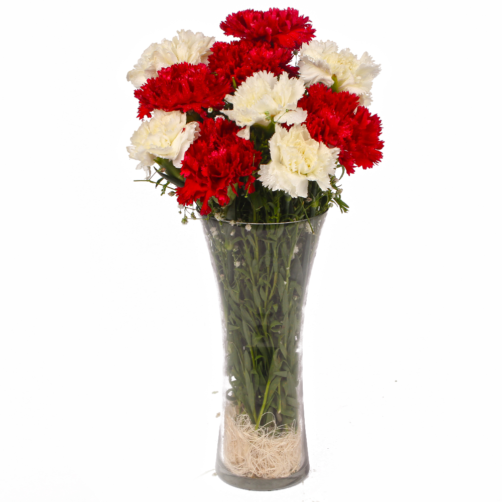 Glass Vase of Ten Red and White Carnations