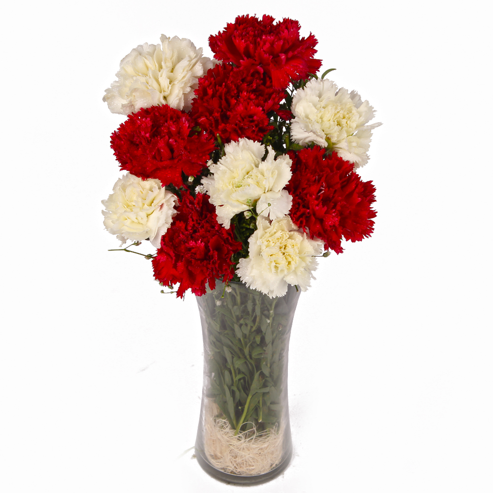 Glass Vase of Ten Red and White Carnations