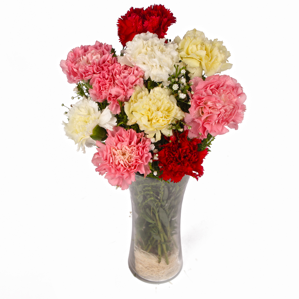 Glass Vase of Ten Mix Color Carnations