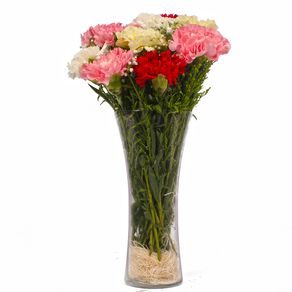 Glass Vase of Ten Mix Color Carnations