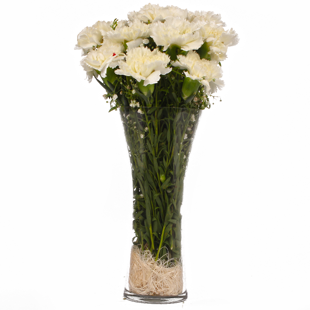 Glass Vase of Ten Bright White Carnations
