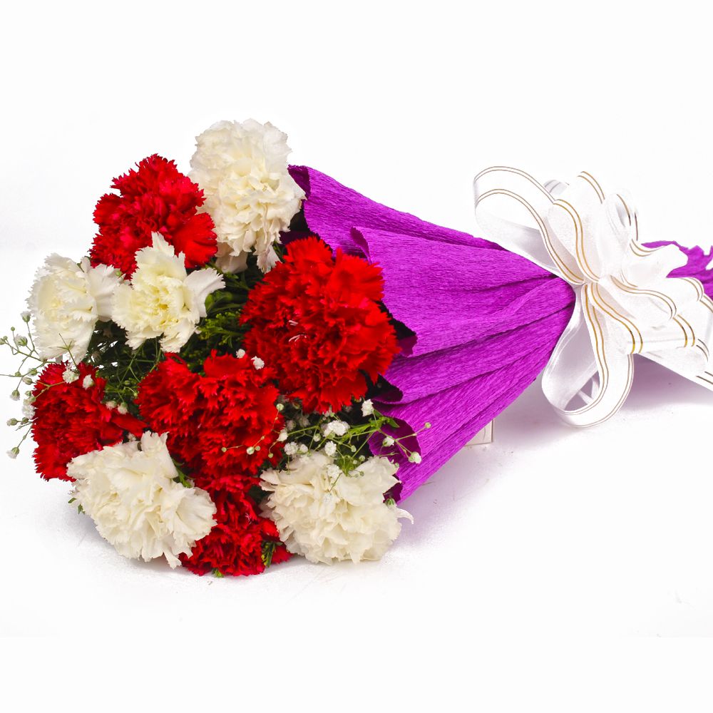 Stylish Red and White Carnations Bouquet